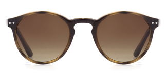 BENX SUNGLASSES BXGÜNŞ9027-DM05 Güneş Genç Erkek,Kadın,Unisex Oval Çerçeveli Grilamid (TR90) Polarize 