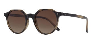 BENX SUNGLASSES BXGÜNŞ9082-DM05 Güneş Genç Erkek,Kadın,Unisex Geometrik Çerçeveli Grilamid TR90 UV400,Polarize - BENX SUNGLASSES (1)