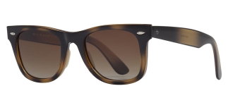 BENX SUNGLASSES BXGÜNŞ9087-DM05 Güneş Genç Erkek,Kadın,Unisex Köşeli Çerçeveli Grilamid TR90UV400,Polarize - BENX SUNGLASSES (1)