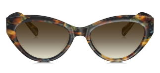 BOLON BL3168-A22 Güneş Genç Kadın Çekik Çerçeveli Asetat UV400 - BOLON