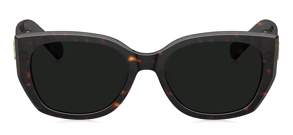 BOLON BL3195-C20 Güneş Genç Kadın Yarı-Oval Çerçeveli Asetat UV400,Polarize - 1