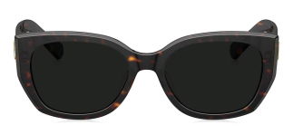 BOLON BL3195-C20 Güneş Genç Kadın Yarı-Oval Çerçeveli Asetat UV400,Polarize 