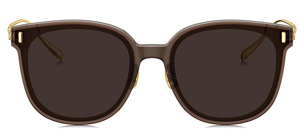 BOLON BL5095-A22 Güneş Genç Kadın Oval Çerçeveli Nylon UV400 - 1