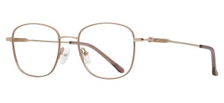 CARETTA CRTTA 7617-C.03 Optik Genç Kadın Köşeli Çerçeveli Titanyum - CARETTA (1)