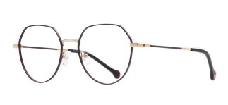 CARETTA CRTTA 7634-C.02 Optik Genç Kadın Geometrik Çerçeveli Titanyum - CARETTA (1)