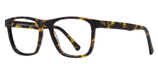 GOLDBERRY GB 4030-C.02 Optik Genç Erkek Köşeli Çerçeveli Asetat - GOLDBERRY (1)
