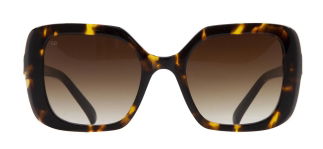 GOLDBERRY GBGNŞ 4503-C.02 Güneş Genç Kadın Köşeli Çerçeveli Asetat UV400 - GOLDBERRY