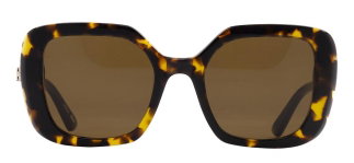 GOLDBERRY GBGNŞ 4503-C.02 Güneş Genç Kadın Köşeli Çerçeveli AsetatUV400 - GOLDBERRY