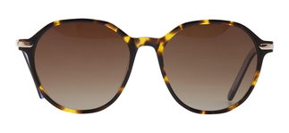 GOLDBERRY GBGNŞ 4516-C.02 Güneş Genç Erkek, Kadın, Unisex Geometrik Çerçeveli Asetat Polrize - GOLDBERRY