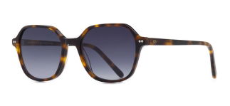 GOLDBERRY GBGNŞ 4519-C.02 Güneş Genç Erkek,Kadın,Unisex Geometrik Çerçeveli Asetat UV400 - GOLDBERRY (1)