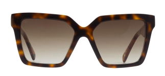 GOLDBERRY GBGNŞ 4522-C.09 Güneş Genç, Yetişkin Kadın Köşeli Çerçeveli Asetat UV400 - GOLDBERRY