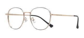 ROCOCO ROC 8557-C.01 Optik Genç Kadın Köşeli Çerçeveli Titanyum - ROCOCO (1)